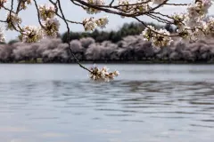 Будівля штаб-квартири ФБР у Вашингтоні, де раніше працював Джеймс Комі.