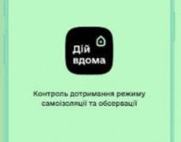 Сиди дома. Как будет работать приложение для борьбы с коронавирусом