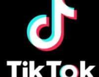 LG попала в скандал из-за рекламы в TikTok