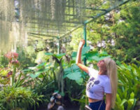 Українська тревел-блогер загинула в Таїланді