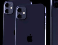 Дисплей iPhone 12 показали на новом фото